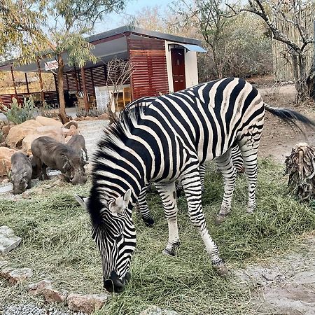 Kholiwe On Kruger Lodge & Safaris Marloth Park Exterior photo