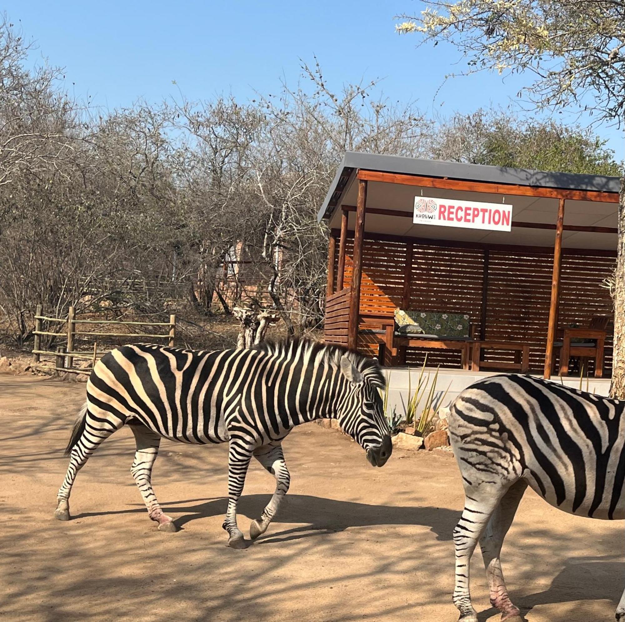 Kholiwe On Kruger Lodge & Safaris Marloth Park Exterior photo