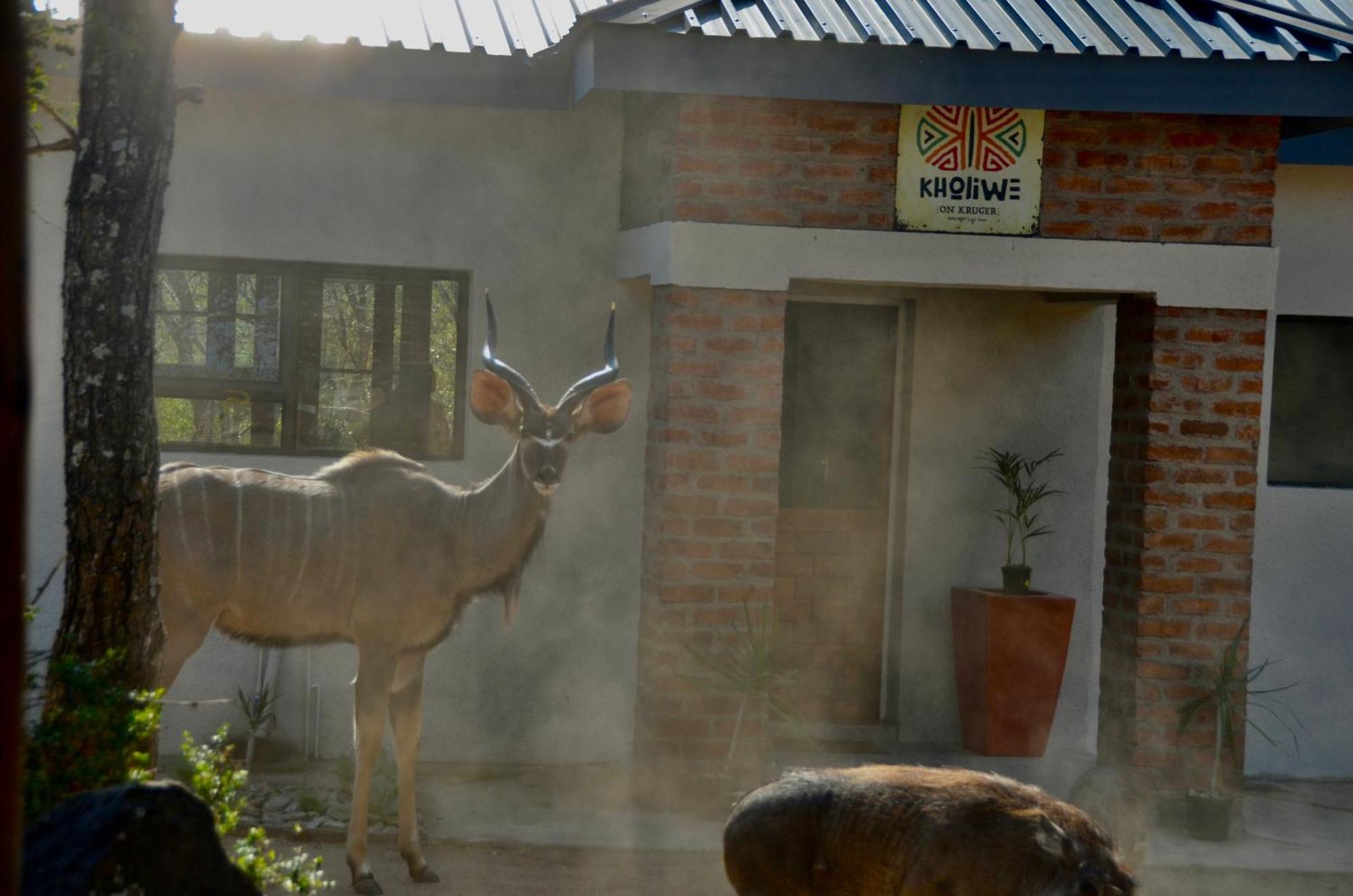 Kholiwe On Kruger Lodge & Safaris Marloth Park Exterior photo