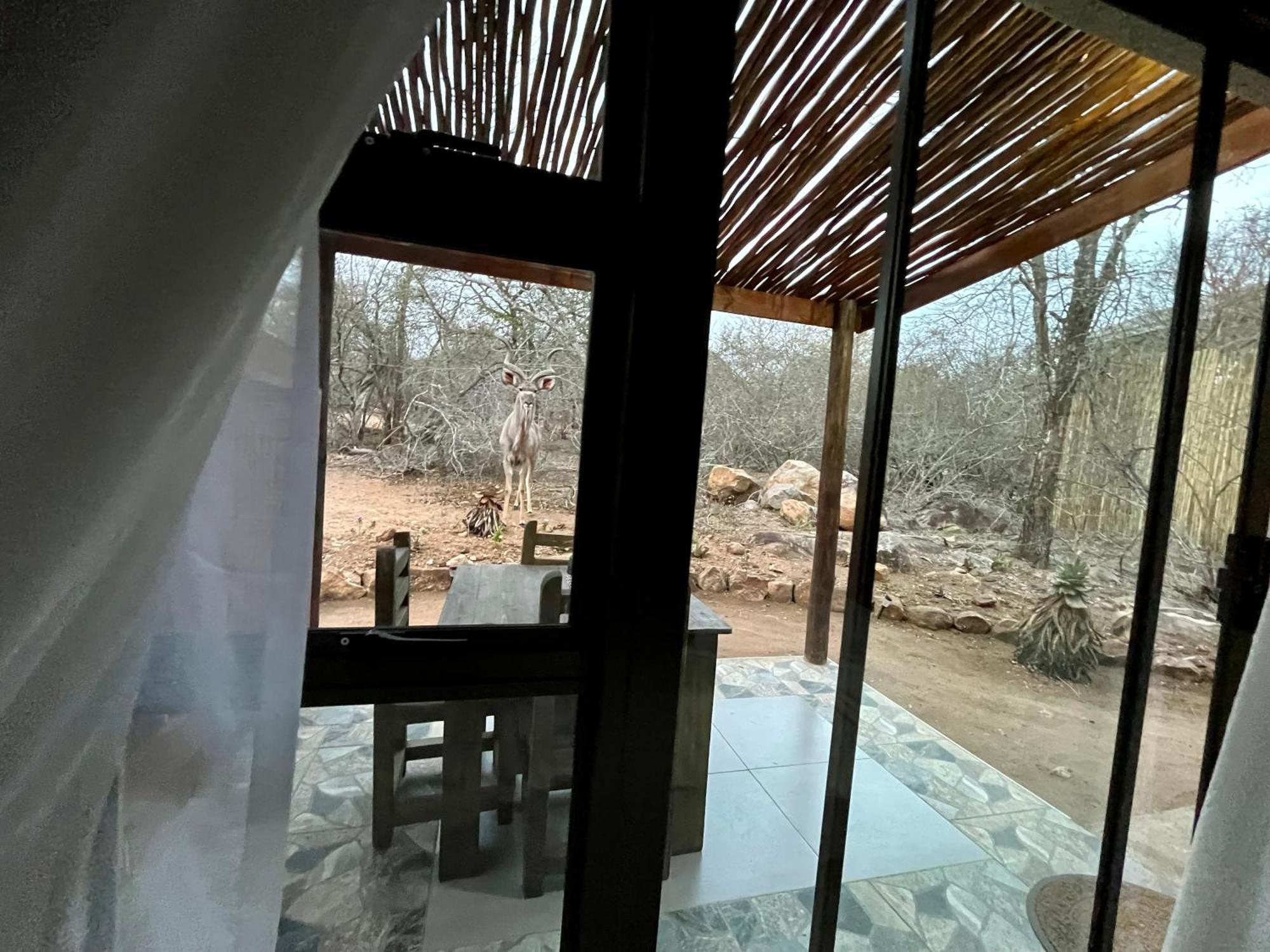 Kholiwe On Kruger Lodge & Safaris Marloth Park Exterior photo