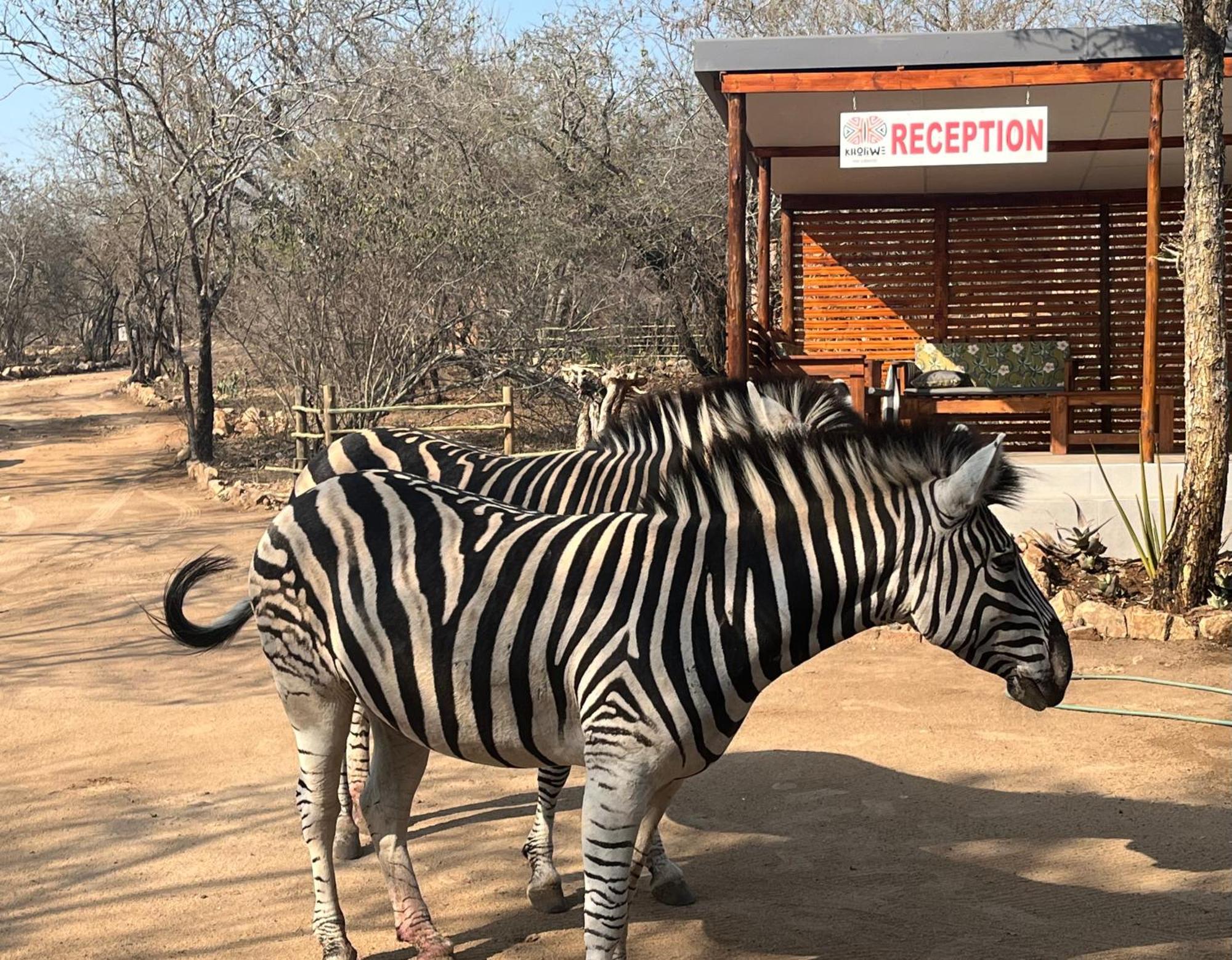 Kholiwe On Kruger Lodge & Safaris Marloth Park Exterior photo