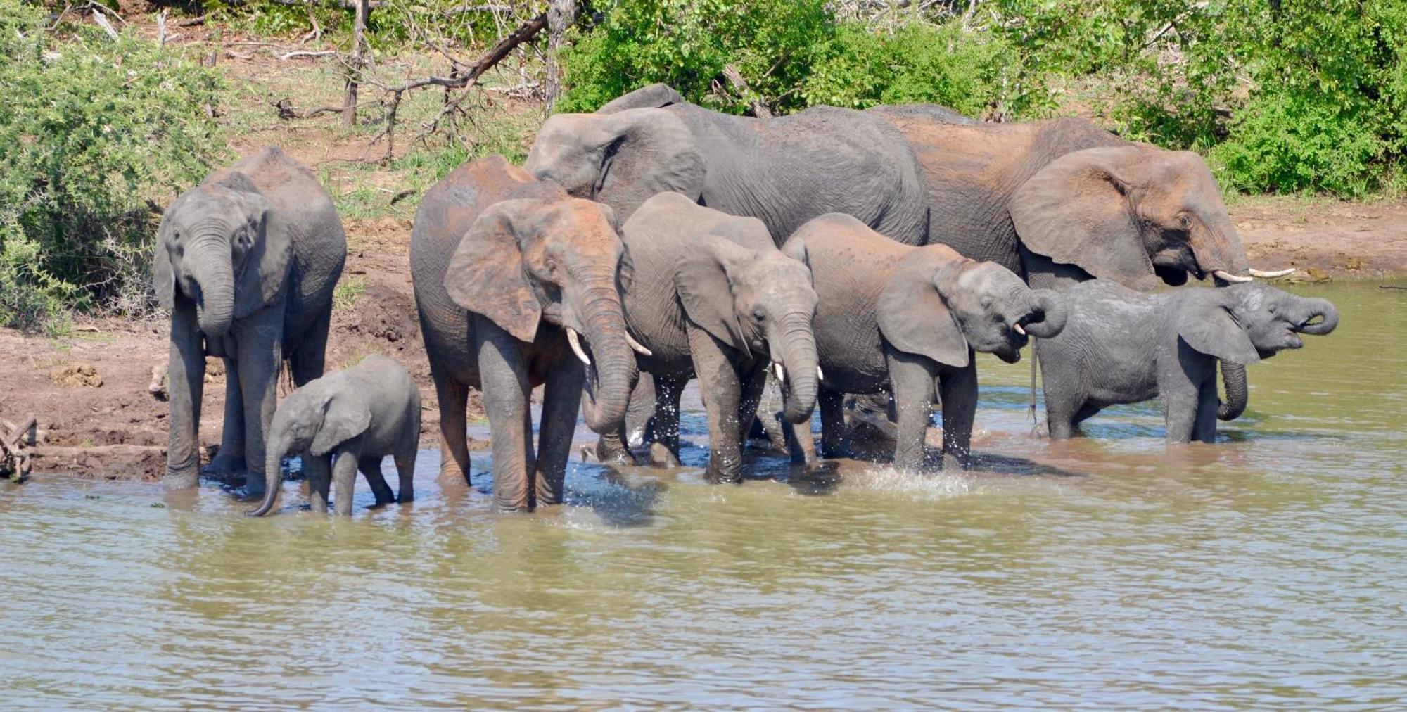 Kholiwe On Kruger Lodge & Safaris Marloth Park Exterior photo